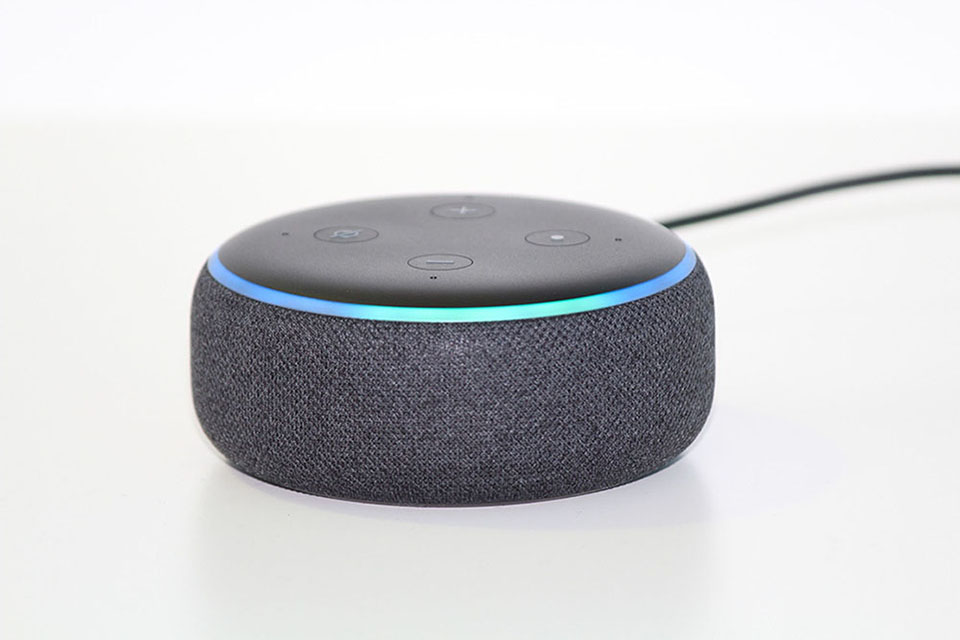 Alexa voice search box