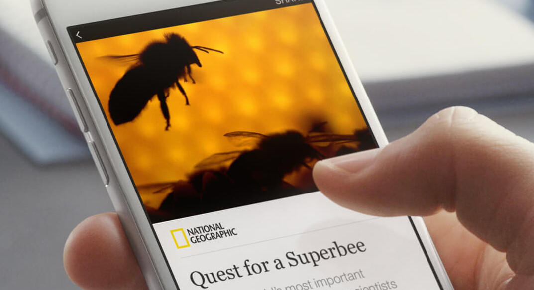 Mobile displaying an AMP article on the National Geographic site