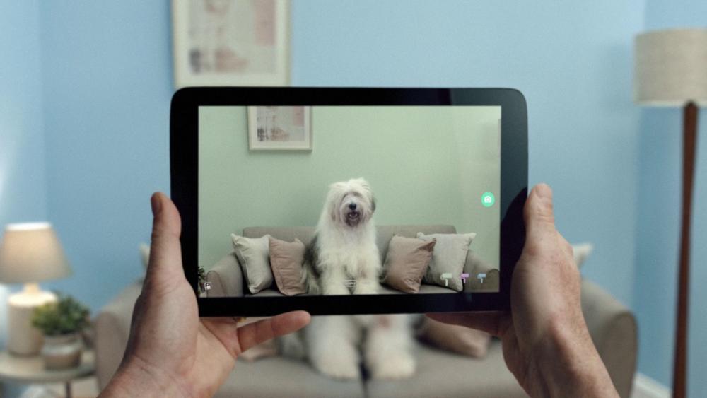 Dulux Ipad Hund